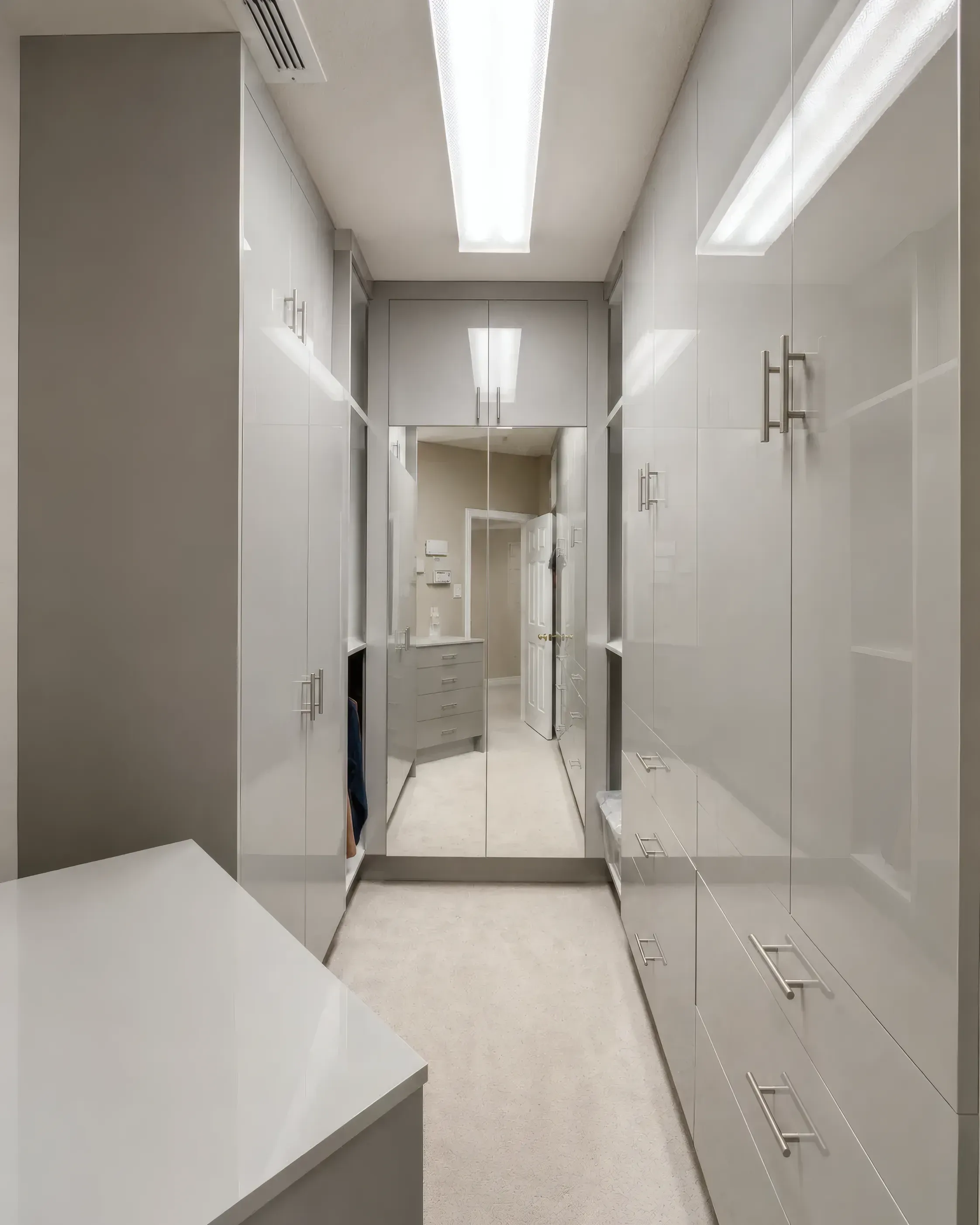 Polished Gray Walk-In Closet