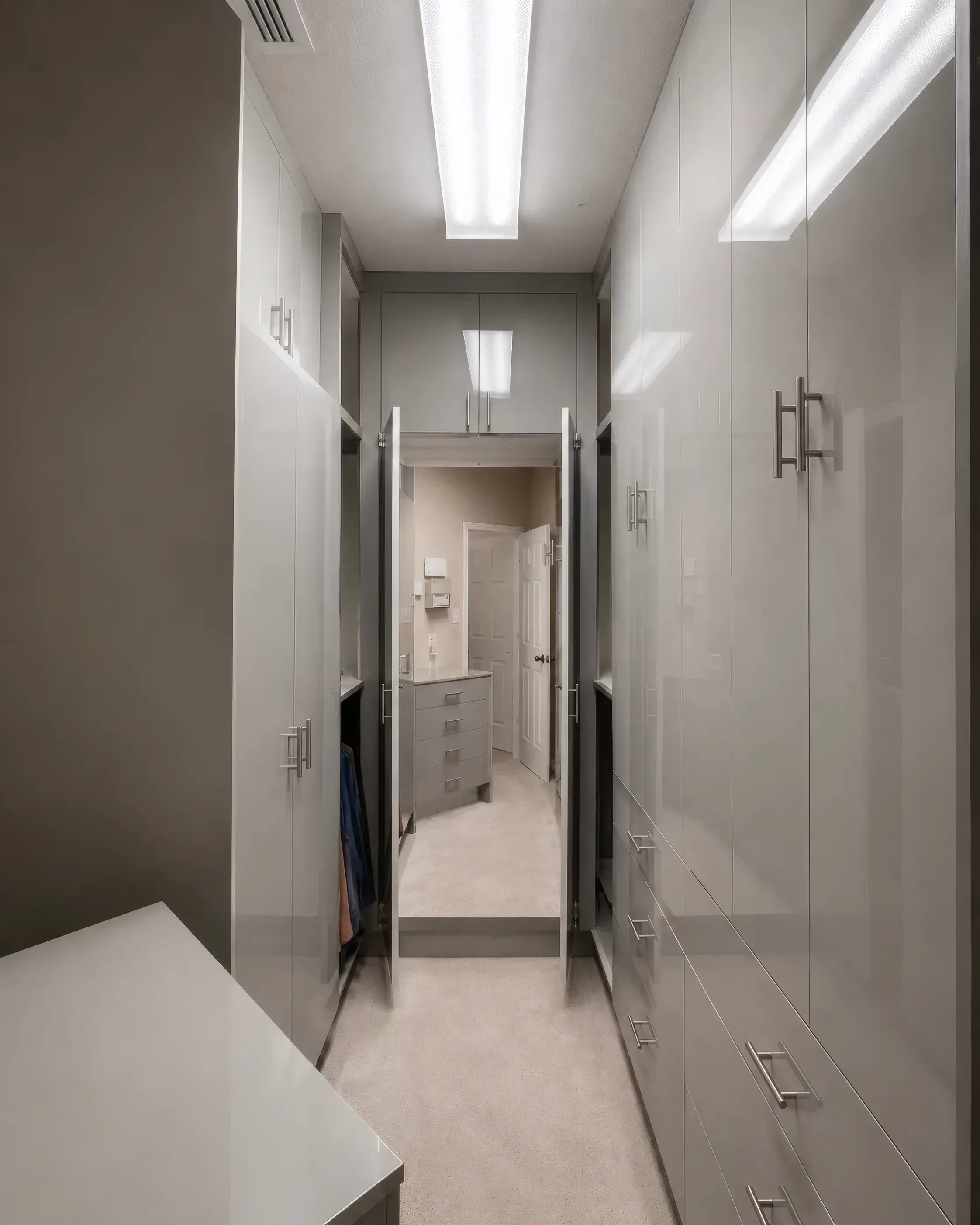 Polished Gray Walk-In Closet, view 2