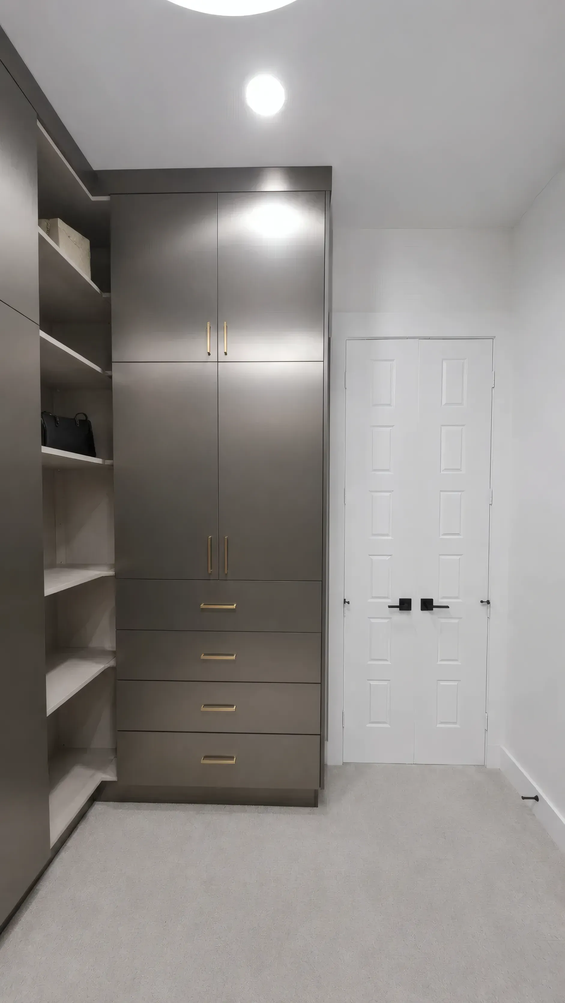 Picasso Inox Walk-In Closet, view 2