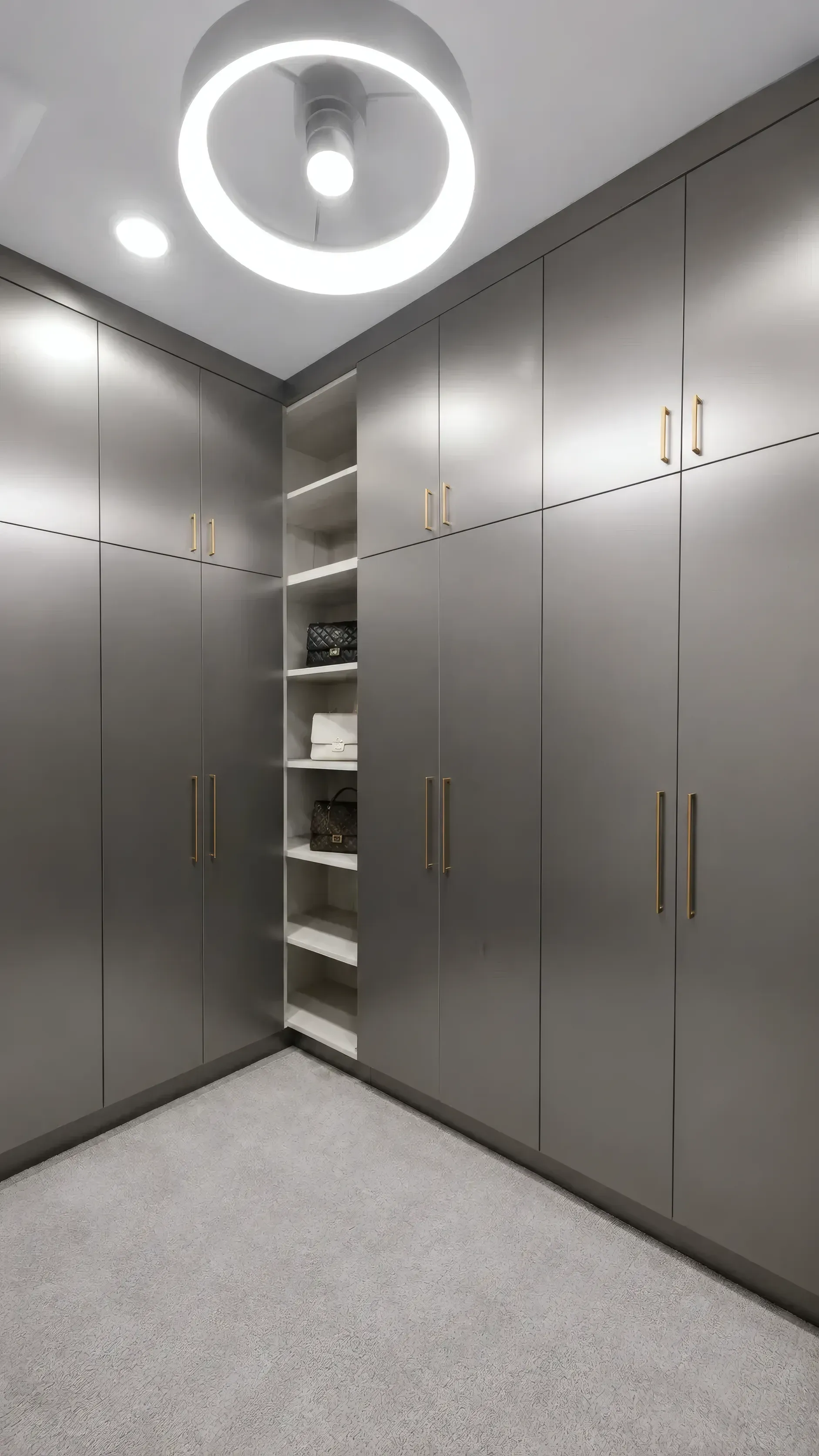 Picasso Inox Walk-In Closet, view 4