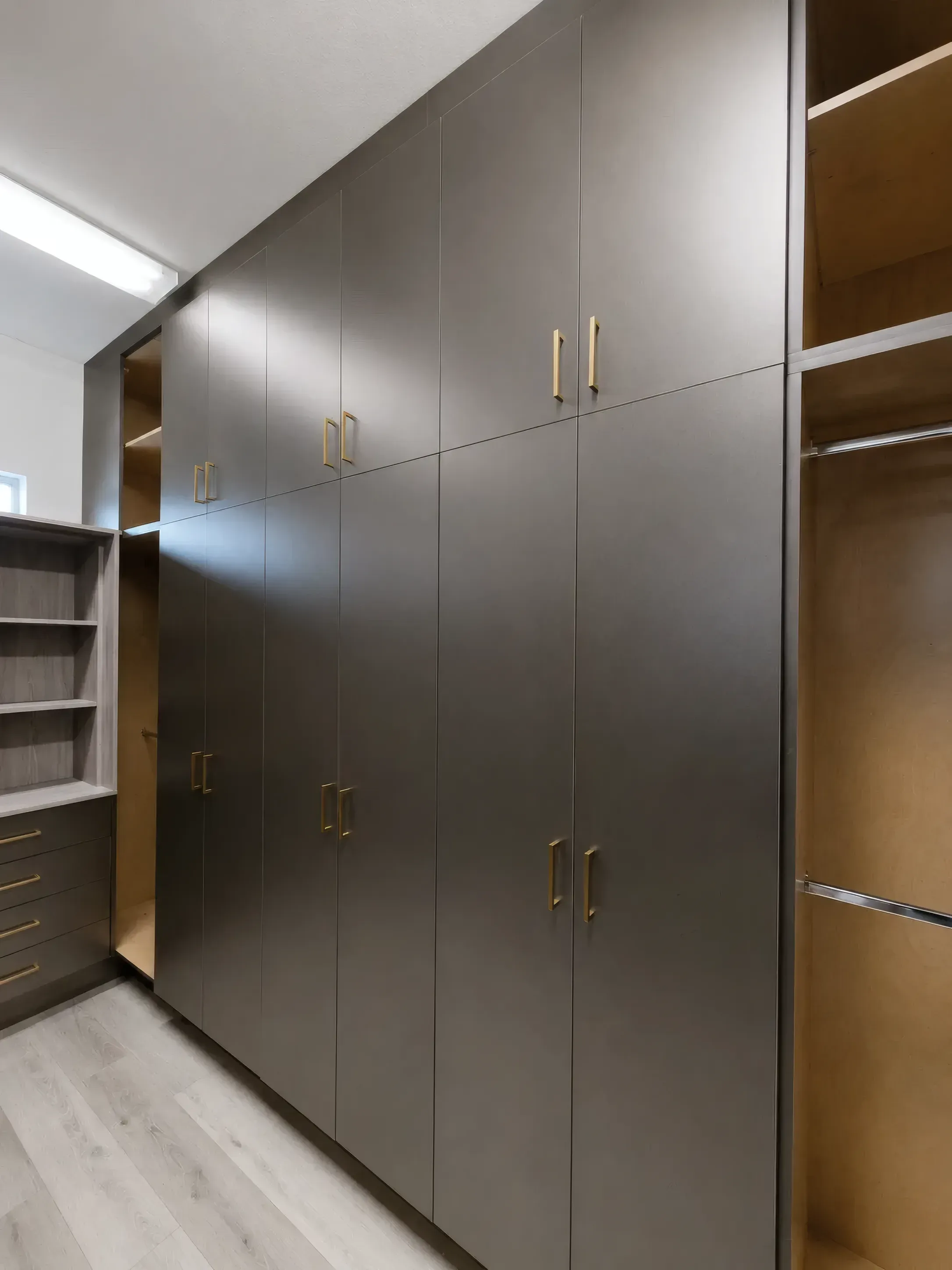 Inox and Oak Walk-In Closet, view 4