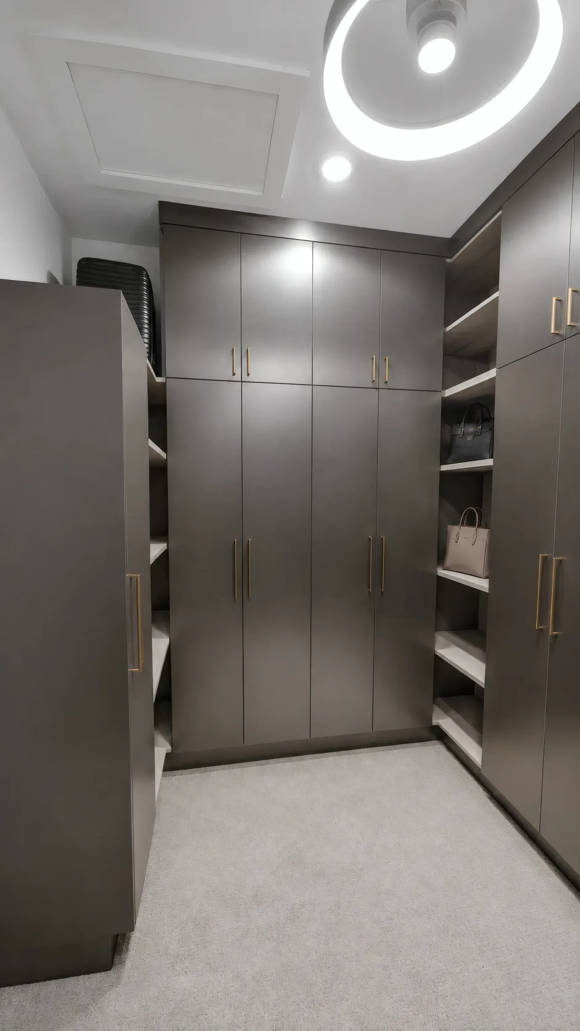 Picasso Inox Walk-In Closet, view 5
